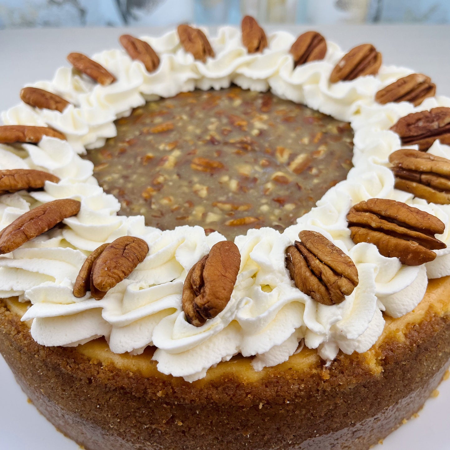 Maple Pecan Mini Cheesecake (7 inch round)